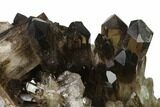 Dark Smoky Quartz Crystal Cluster - Brazil #137842-1